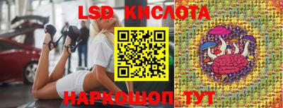 эйфоретик Камышлов