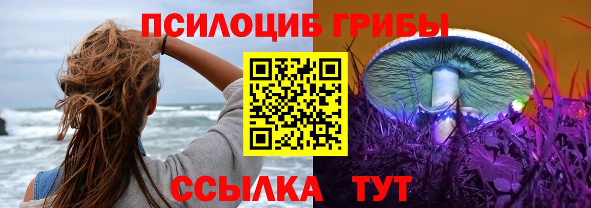 Псилоцибиновые грибы мицелий  Вход с VPN  где купить   Кумертау  Псилоцибиновые грибы Cubensis 